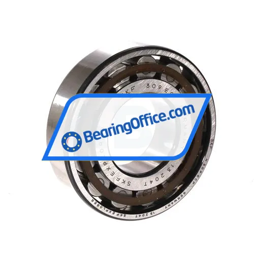 SKF N309ECP