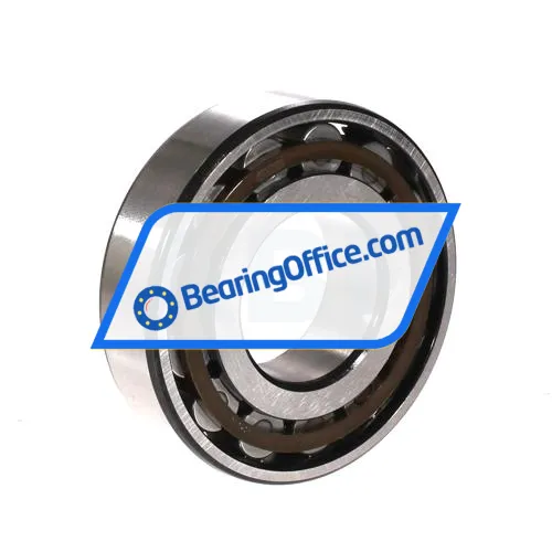 SKF N309ECP bearing image 2