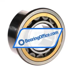 SKF NU2313ECML/C3 rulman resim 2