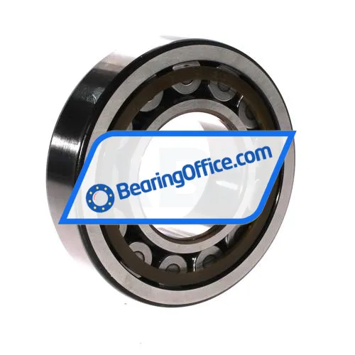 SKF NJ313ECP/C4 bearing image 2