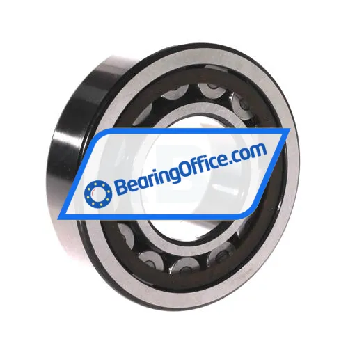 SKF NJ310ECP/C3 bearing image 2