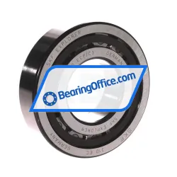 SKF NJ310ECP/C3