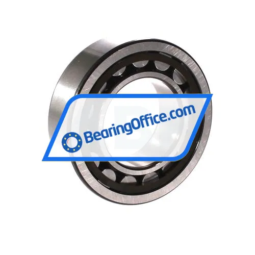SKF NJ2209ECP bearing image 2