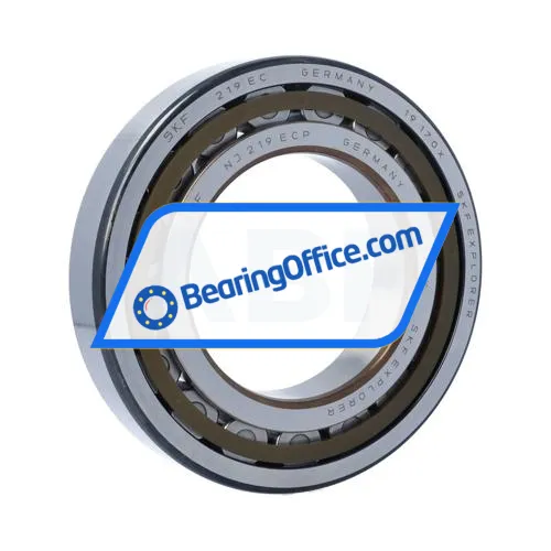 SKF NJ219ECP