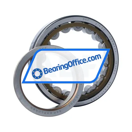 SKF NJ219ECP bearing image 3