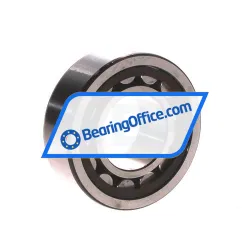 SKF NJ2206ECP/C4VQ015 rulman resim 2