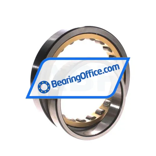 SKF NU1018M/C4VA301 bearing image 3