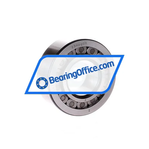 SKF NJG2309VH/C3VB158