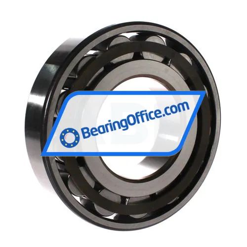 SKF N318ECP bearing image 2
