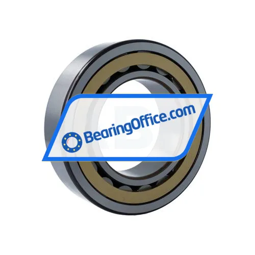 SKF NJ2220ECM/C3 bearing image 2