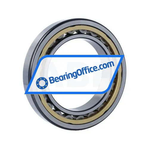 SKF NU1022MLS/P54S1VQ015 bearing image 2