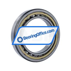 SKF NU1022MLS/P54S1VQ015