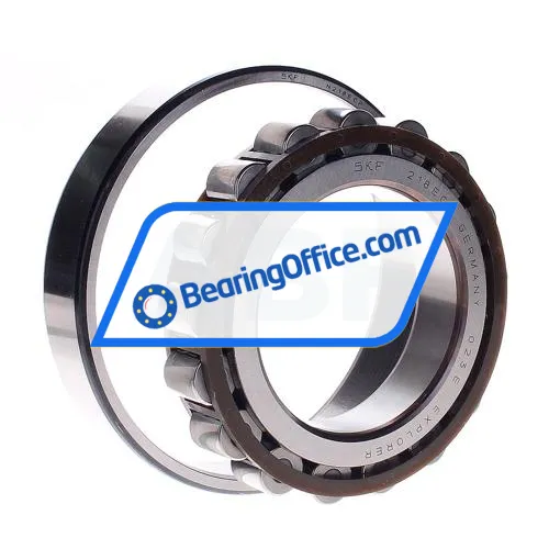 SKF N218ECP bearing image 2