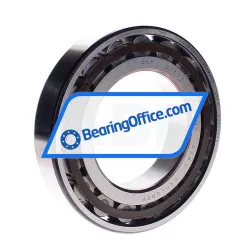 SKF N218ECP