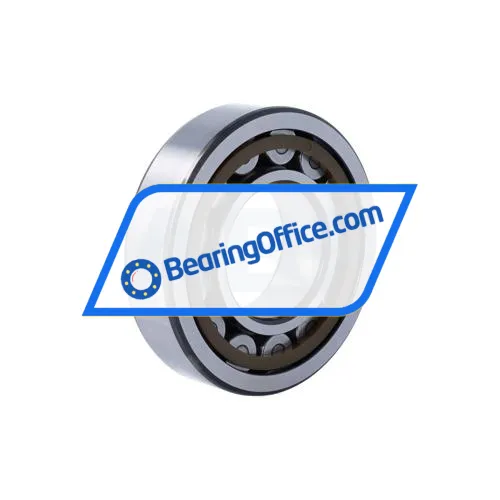 SKF NJ311ECP/C5 bearing image 2