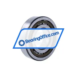 SKF NJ311ECP/C5