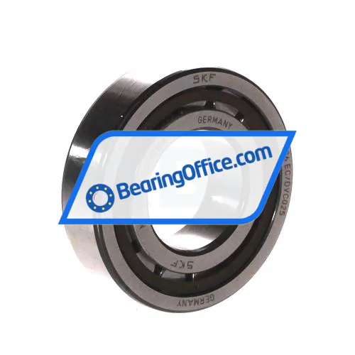 SKF NJ206ECP/C3HVC058