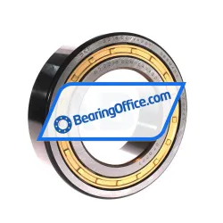 SKF NJ2218ECM/C4VA301