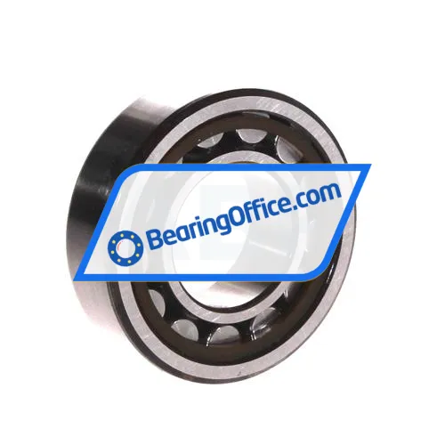 SKF NJ205ECP/C3 bearing image 2