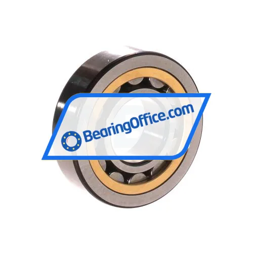 SKF NJ306ECML bearing image 2