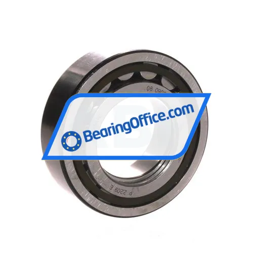 SKF NUP2209ECP bearing image 2