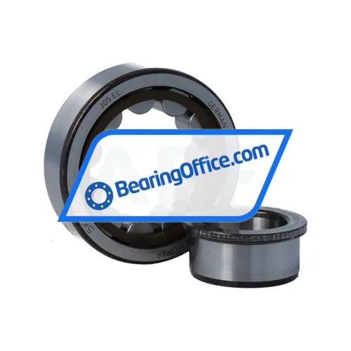 SKF NJ305ECP/C4VQ015 bearing image 3