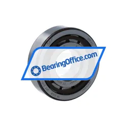 SKF NJ305ECP/C4VQ015