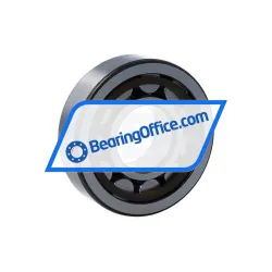 SKF NJ305ECP/C4VQ015 rulman resim 2