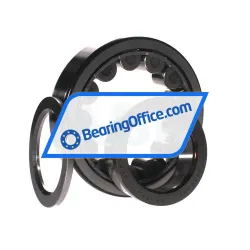 SKF NUP313ECJ rulman resim 3