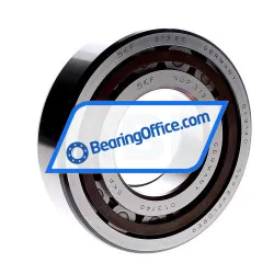 SKF NUP313ECP