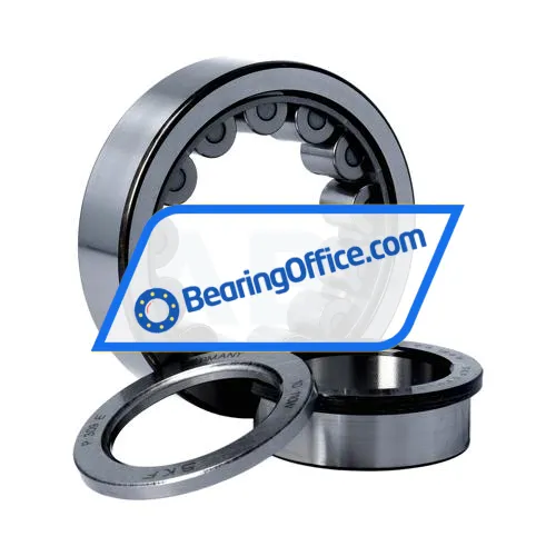 SKF NUP309ECJ/C3 bearing image 3