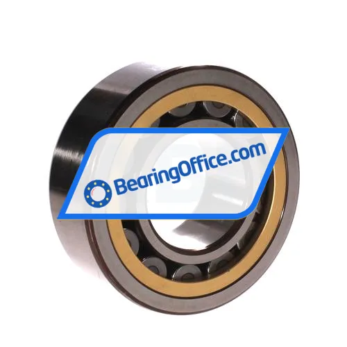 SKF NJ2313ECML/C3 bearing image 2