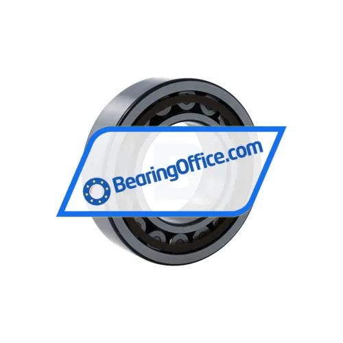 SKF NJ2213ECP/C5 bearing image 2