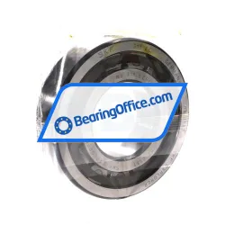 SKF NJ311ECP/C3