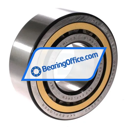 SKF NJ2310ECML/C3