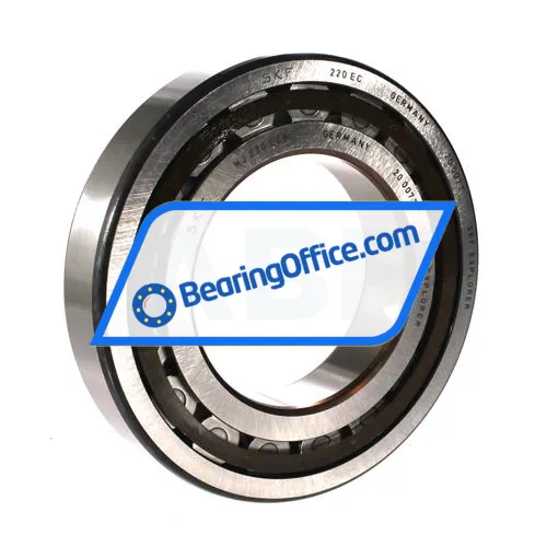 SKF NJ220ECP