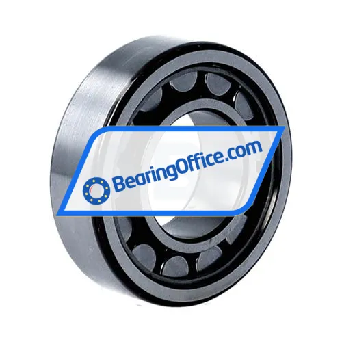 SKF NJ205ECJ bearing image 2