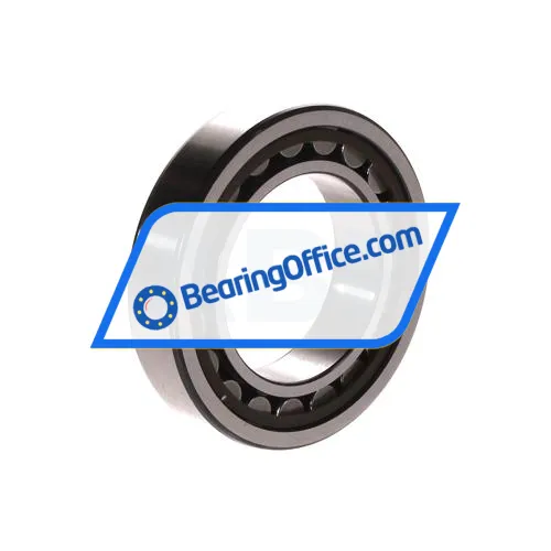 SKF NJ1009ECP bearing image 2