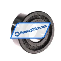 SKF NJG2308VH