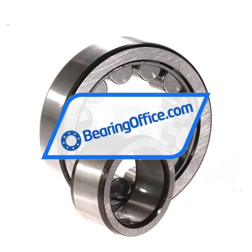 SKF NU1013ML bearing image 3