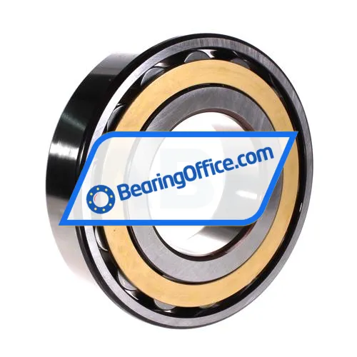 SKF N319ECM/C3 bearing image 2