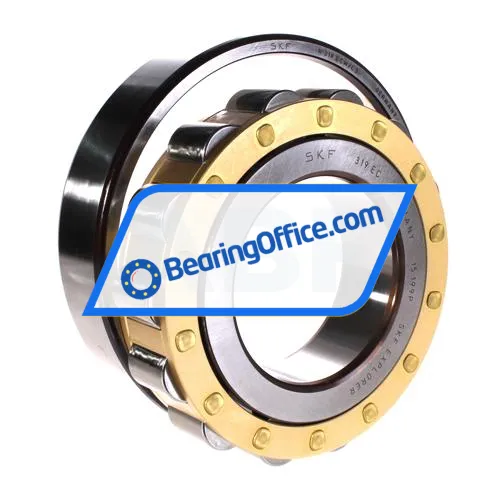 SKF N319ECM/C3 bearing image 3