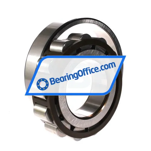 SKF N316ECP/C3 bearing image 3
