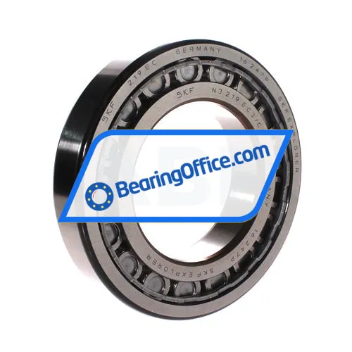 SKF NJ219ECJ/C3