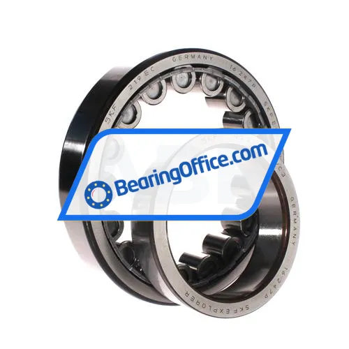 SKF NJ219ECJ/C3 bearing image 2