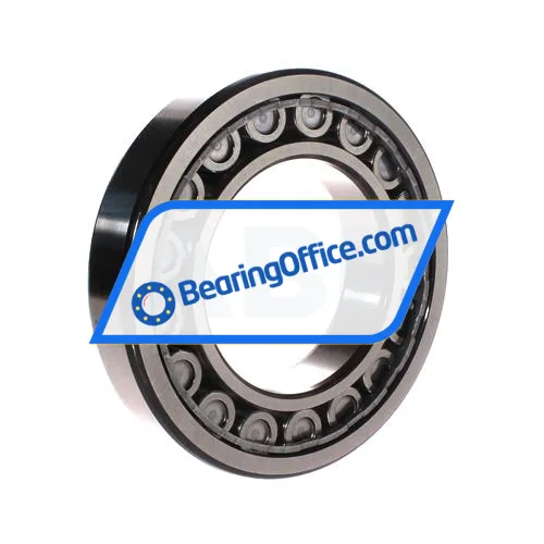 SKF NJ219ECJ/C3 bearing image 3