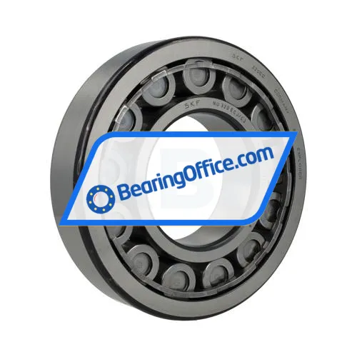 SKF NU320ECJ/C3