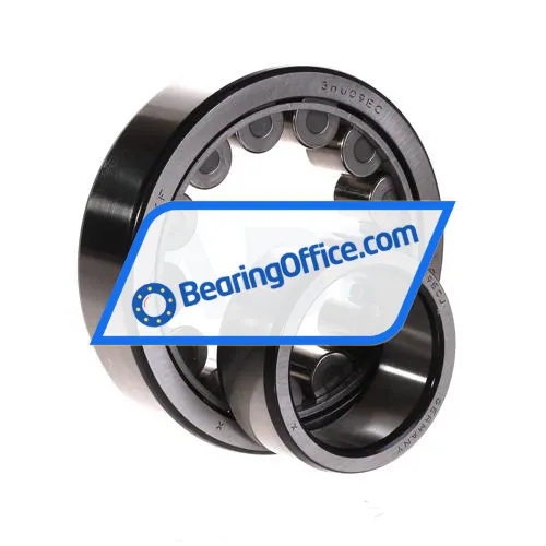 SKF NU309ECJ bearing image 2