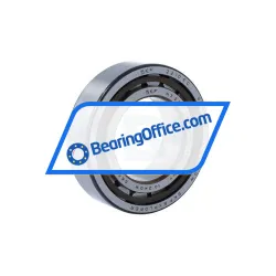 SKF NJ2210ECP/C3