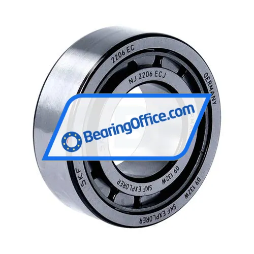 SKF NJ2206ECJ